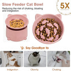 Raised Slow Feeder Cat Bowl — Tilted Silicone Design